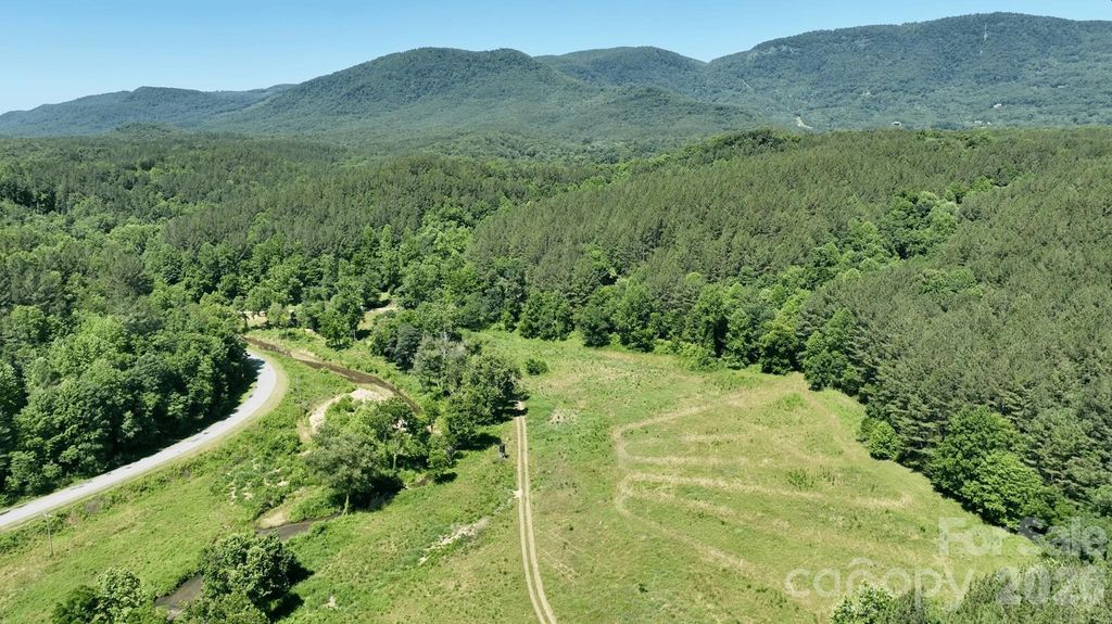 1194 Palmer Road, Mill Spring, NC 28756
