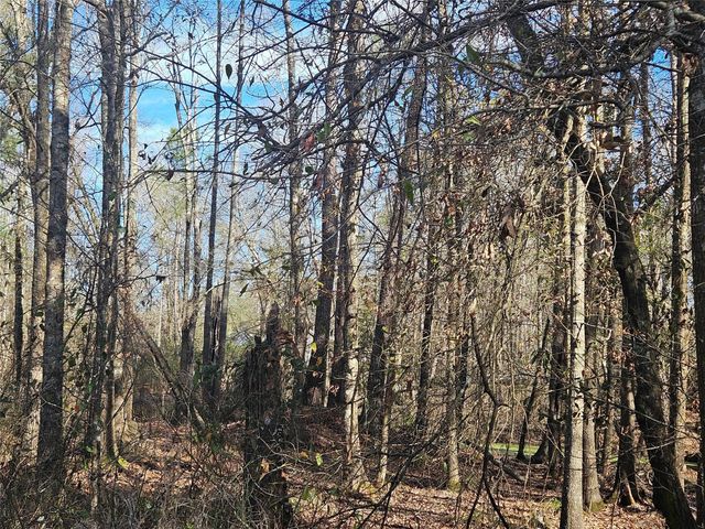 0 Red Road, Shepherd, TX 77371