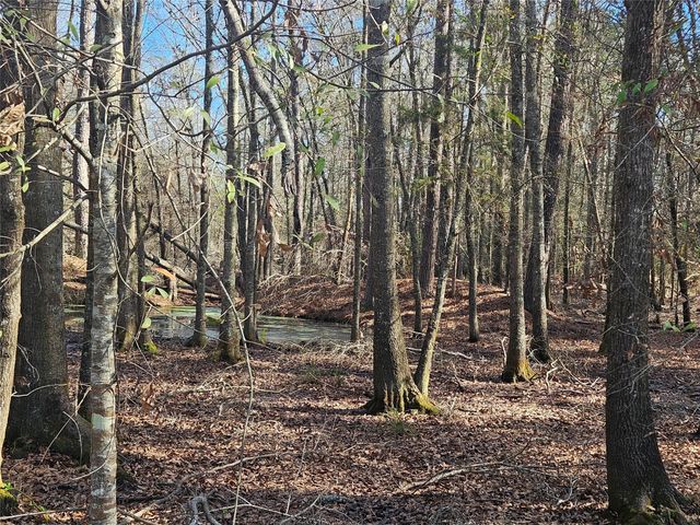 0 Red Road, Shepherd, TX 77371