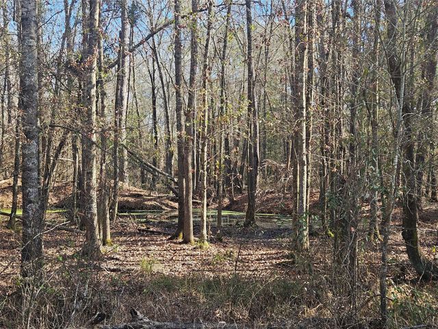 0 Red Road, Shepherd, TX 77371