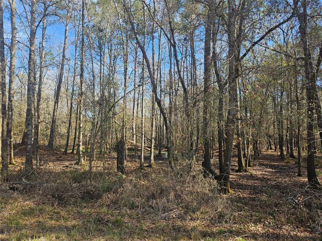 0 Red Road, Shepherd, TX 77371