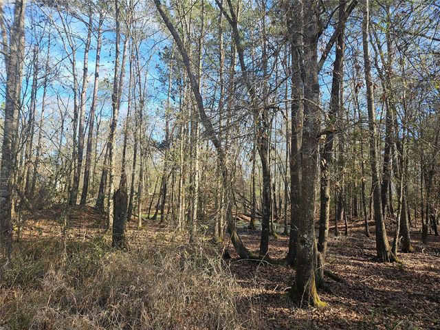 0 Red Road, Shepherd, TX 77371