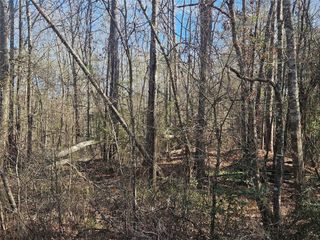 0 Red Road, Shepherd, TX 77371