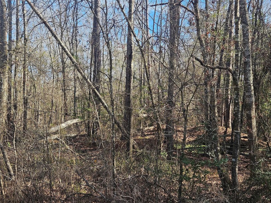 0 Red Road, Shepherd, TX 77371