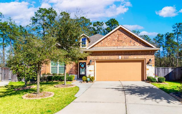 2968 Twin Cove Court, Conroe, TX 77301