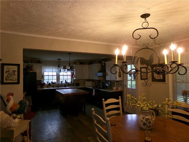 460 Hair Lake Road, Summerville, GA 30747