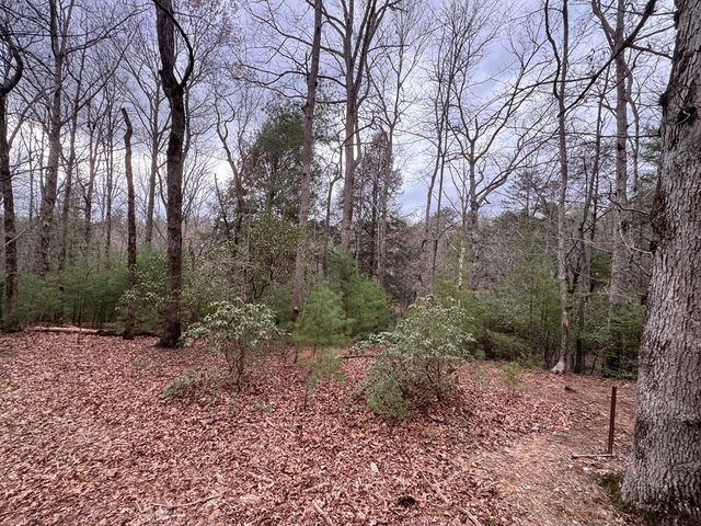 Lot 43 Seneca Drive, Ellijay, GA 30540