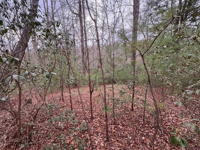 Lot 43 Seneca Drive, Ellijay, GA 30540