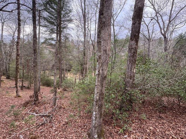 Lot 43 Seneca Drive, Ellijay, GA 30540