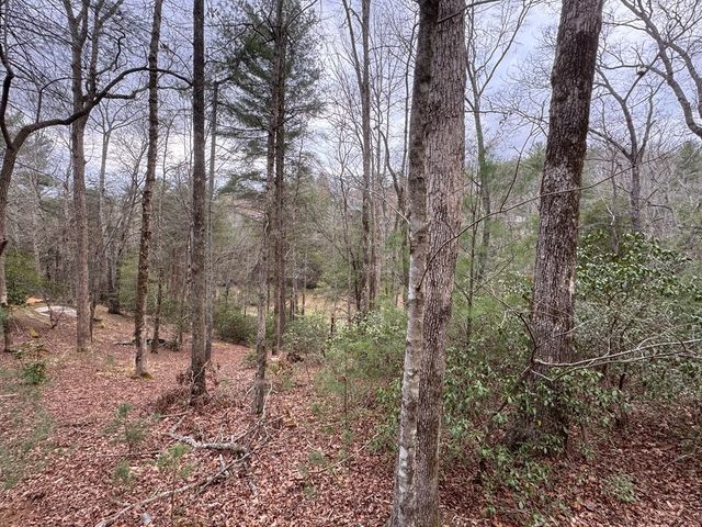 Lot 43 Seneca Drive, Ellijay, GA 30540