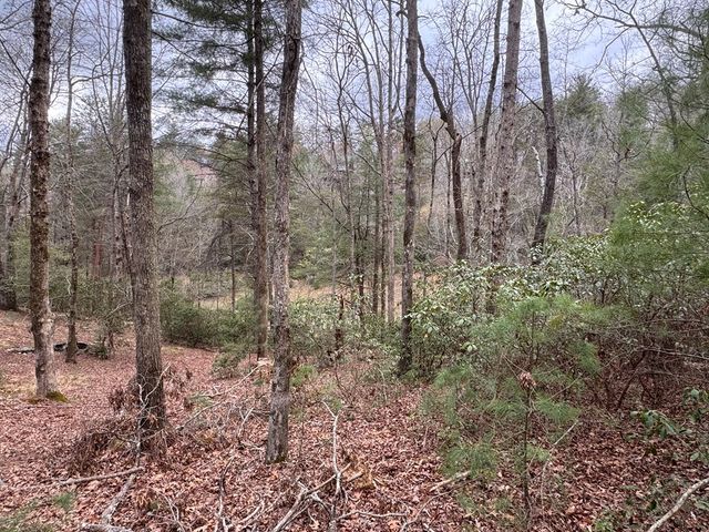 Lot 43 Seneca Drive, Ellijay, GA 30540