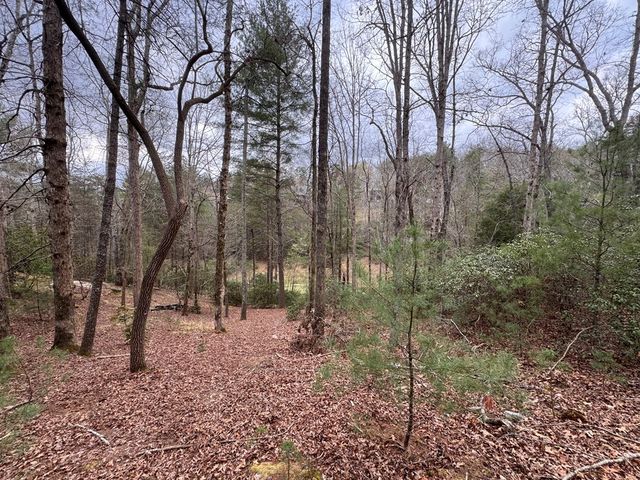Lot 43 Seneca Drive, Ellijay, GA 30540