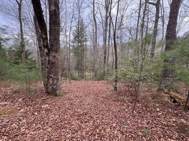 Lot 43 Seneca Drive, Ellijay, GA 30540