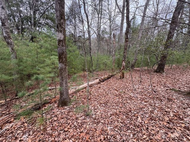 Lot 43 Seneca Drive, Ellijay, GA 30540