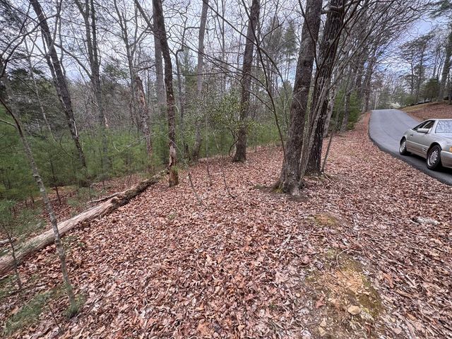 Lot 43 Seneca Drive, Ellijay, GA 30540