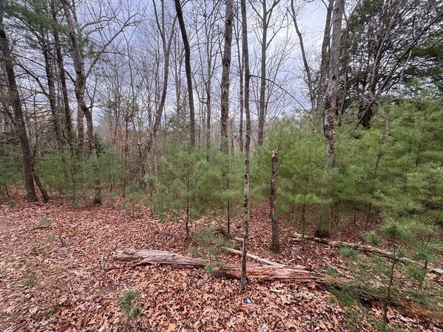 Lot 43 Seneca Drive, Ellijay, GA 30540
