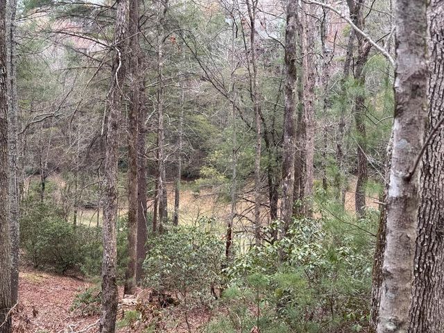 Lot 43 Seneca Drive, Ellijay, GA 30540