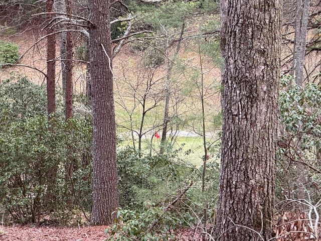 Lot 43 Seneca Drive, Ellijay, GA 30540