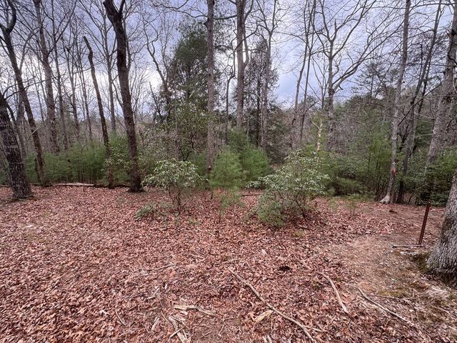 Lot 43 Seneca Drive, Ellijay, GA 30540