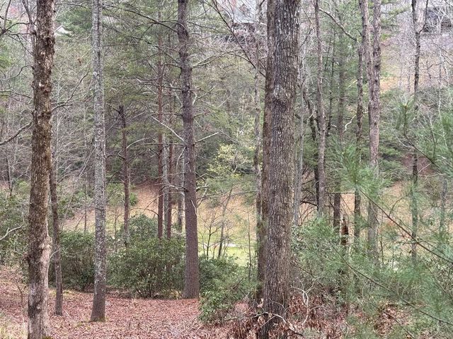 Lot 43 Seneca Drive, Ellijay, GA 30540