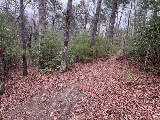 Lot 43 Seneca Drive, Ellijay, GA 30540