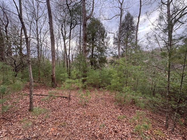 Lot 43 Seneca Drive, Ellijay, GA 30540