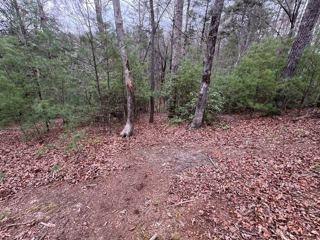 Lot 43 Seneca Drive, Ellijay, GA 30540