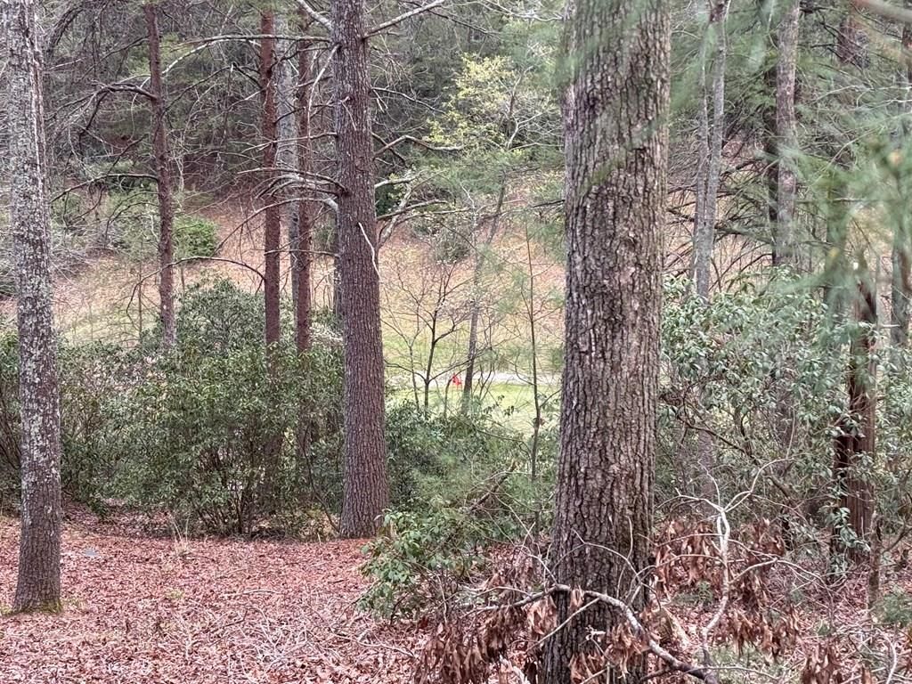 Lot 43 Seneca Drive, Ellijay, GA 30540
