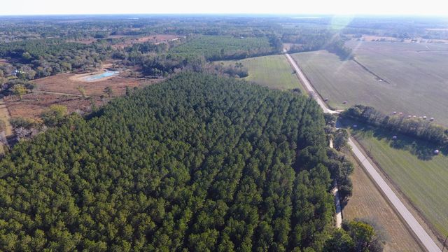 0 Rocks Pond Road Lot F, Eutawville, SC 29048