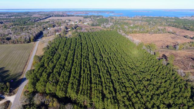 0 Rocks Pond Road Lot F, Eutawville, SC 29048