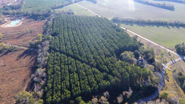 0 Rocks Pond Road Lot F, Eutawville, SC 29048