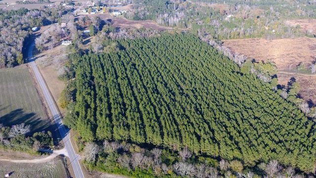 0 Rocks Pond Road Lot F, Eutawville, SC 29048