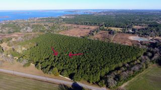 0 Rocks Pond Road Lot F, Eutawville, SC 29048