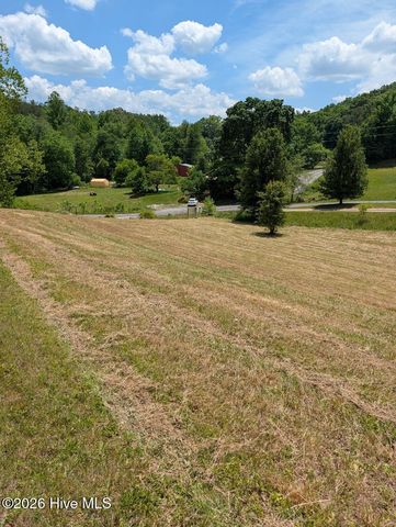 1 Henry Moss Lane, Marble, NC 28905