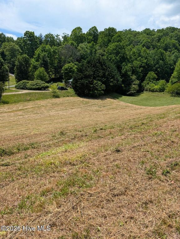 1 Henry Moss Lane, Marble, NC 28905