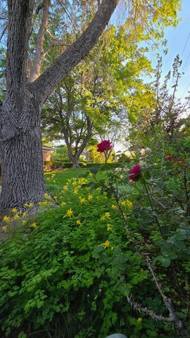 1009 Morina Court NE, Albuquerque, NM 87112