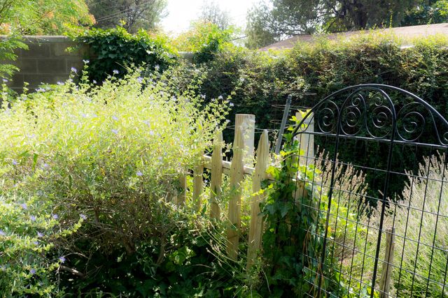 1009 Morina Court NE, Albuquerque, NM 87112