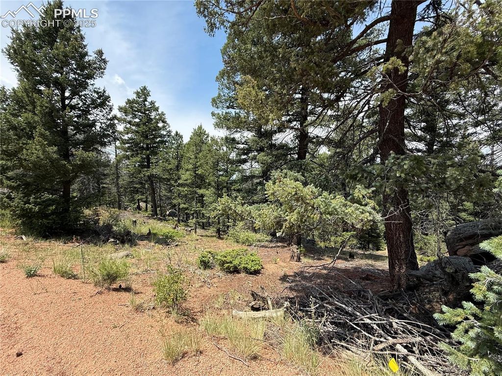 3546 N Mountain Estates Road, Florissant, CO 80816 — photo 2
