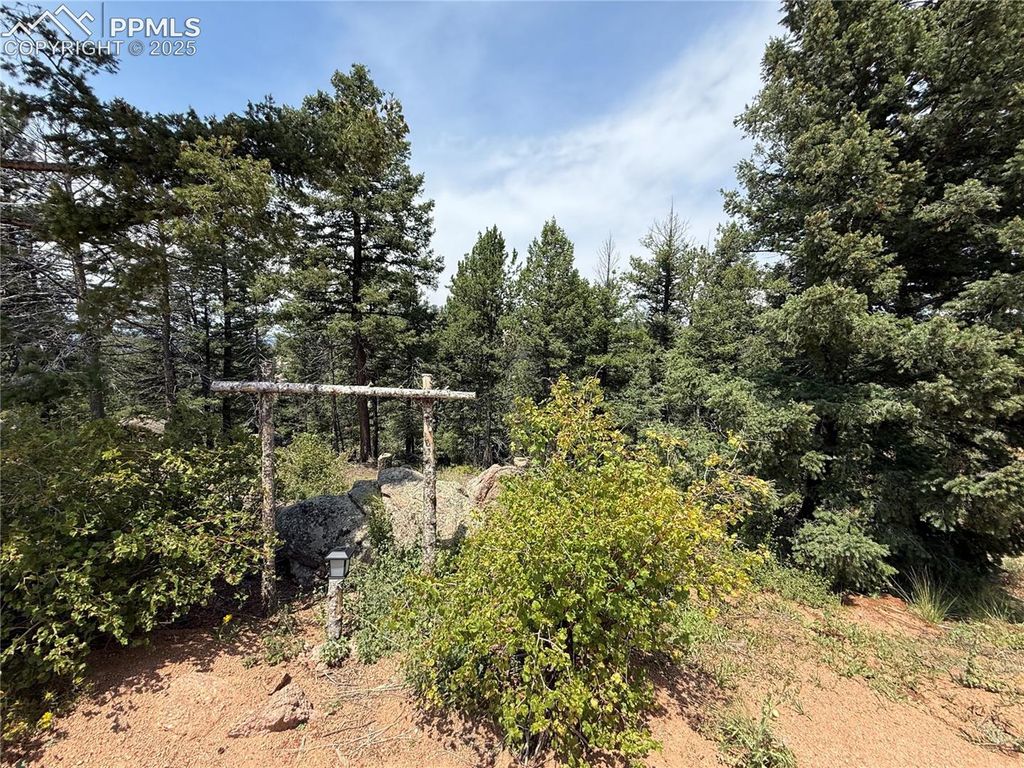 3546 N Mountain Estates Road, Florissant, CO 80816 — photo 3
