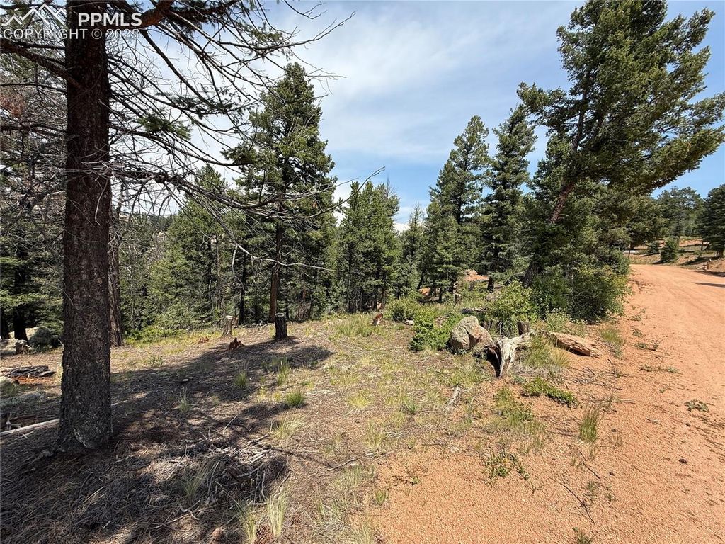 3546 N Mountain Estates Road, Florissant, CO 80816 — photo 4