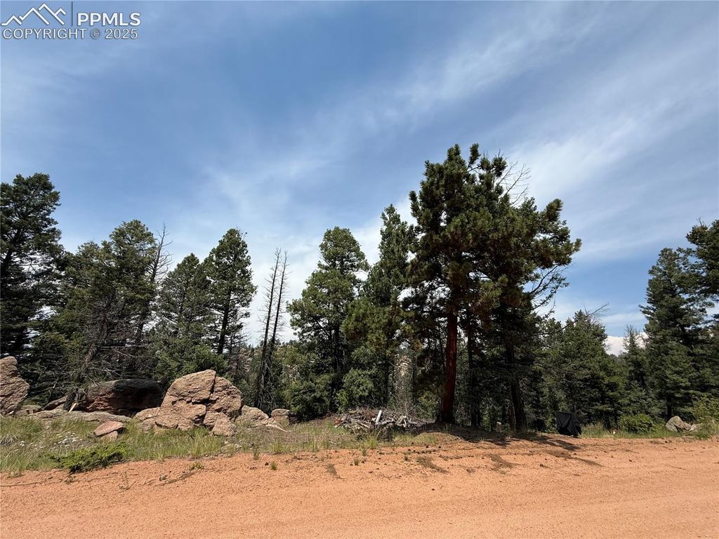3546 N Mountain Estates Road, Florissant, CO 80816 — photo 5