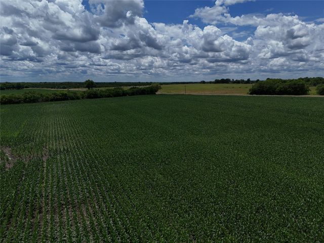 00203 FM 2675, Enloe, TX 75432
