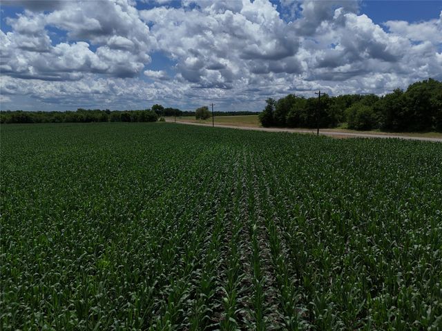 00203 FM 2675, Enloe, TX 75432