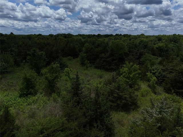 00203 FM 2675, Enloe, TX 75432