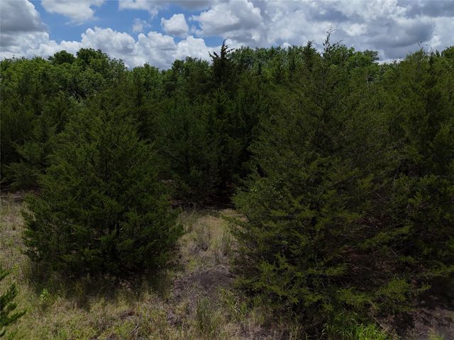 00203 FM 2675, Enloe, TX 75432