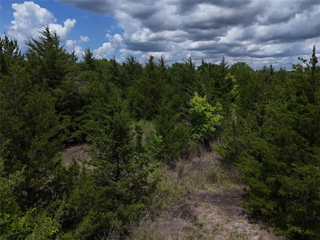 00203 FM 2675, Enloe, TX 75432