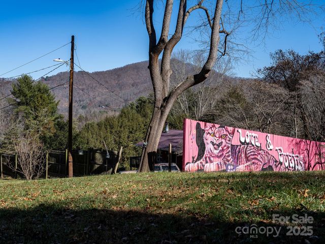 107 Woodland Church Road, Clyde, NC 28721