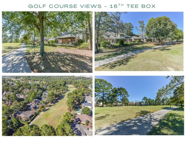 25295 Bull Ridge Drive, Porter, TX 77365