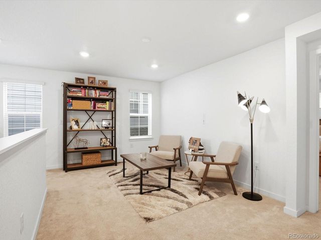 17529 E 95th Place, Commerce City, CO 80022