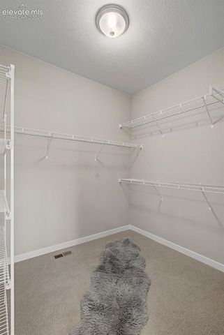 16860 New Autumn Drive, Monument, CO 80132